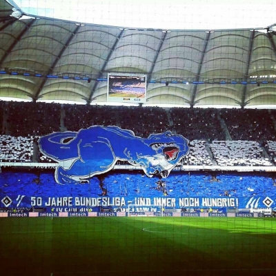 (2013-14) Hamburg - Braunschweig