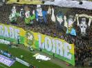 (2013-14) Nantes - Rennes_6