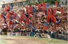 (1993-94) Cosenza - Fiorentina