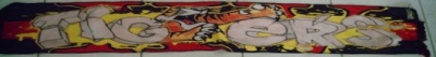 Echarpe Tigers